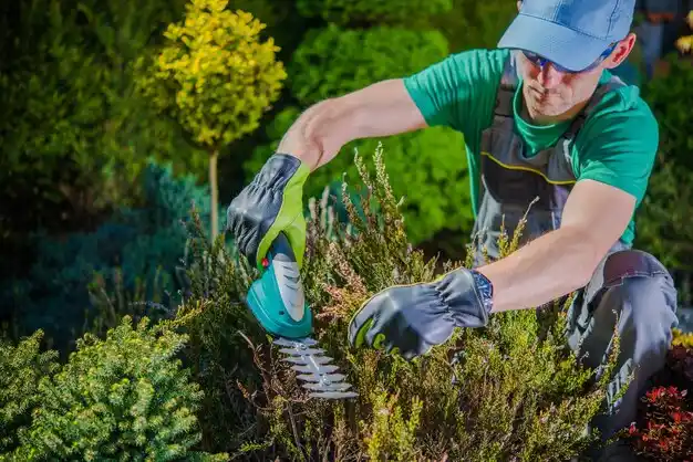 landscaping services Stony Brook
